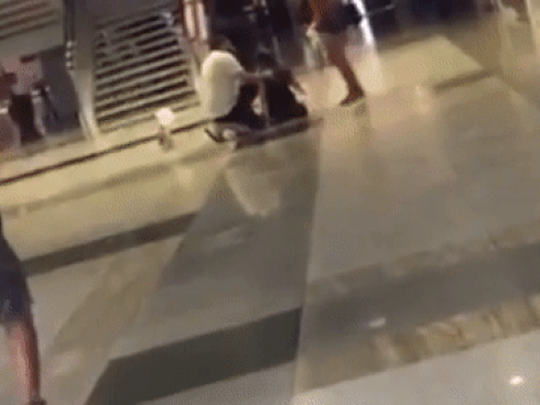 Lời kể hãi hùng của nhân chứng thoát chết khi cá mập trắng tấn công hải cẩu sát bờ biển-3