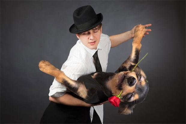 Chỉ vì lỡ cắn cành cây, chú chó trở thành chủ đề cho các thánh chế ảnh-4