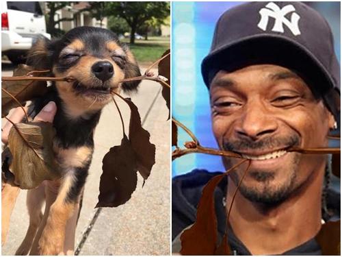 Clip: Những khoảnh khắc siêu hài hước của Hoài Linh-1