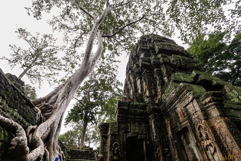Điểm đến 2/9: Khám phá Campuchia - đất nước của những ngôi đền-6