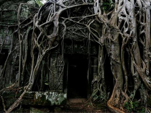 Lặng người trước vẻ đẹp hoang sơ của Hòn Cau-1