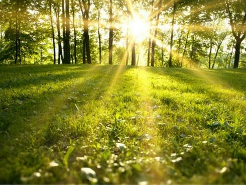 Từ cô gái béo phì đến HLV sở hữu vòng eo con kiến-4