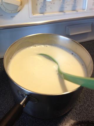 Tự làm sữa chua tại nhà chỉ với 2 nguyên liệu-2