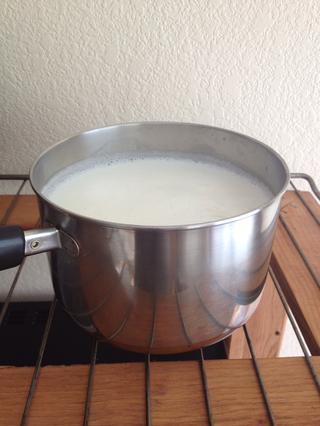 Tự làm sữa chua tại nhà chỉ với 2 nguyên liệu-3