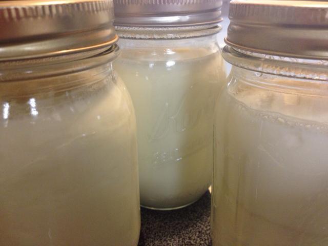 Tự làm sữa chua tại nhà chỉ với 2 nguyên liệu-8