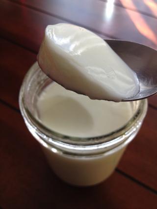 Tự làm sữa chua tại nhà chỉ với 2 nguyên liệu-9