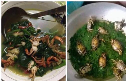 Chồng thèm ăn canh cá rô nấu rau cải, vợ tức tốc nấu như này, bạn có dám ăn không?-7