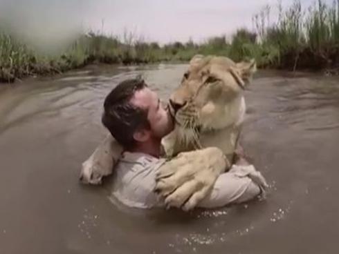 Sư tử trên bờ 'vồ' người đàn ông giữa sông và diễn biến không ngờ