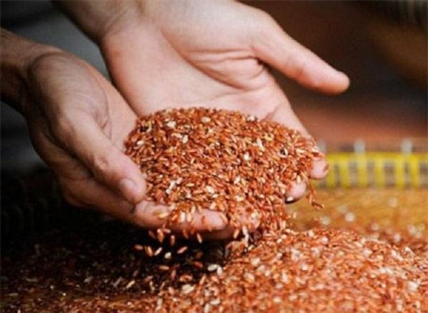 Sự thật chỉ ăn gạo lứt muối mè sẽ khỏi ung thư?-1