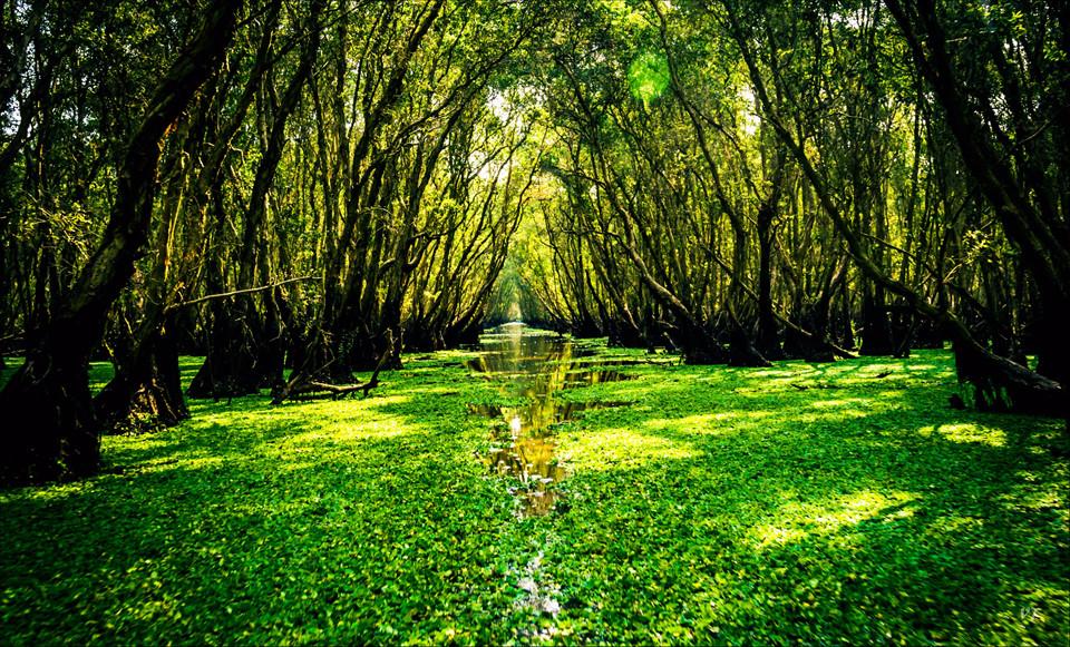 Dấu ấn Việt Nam: Về miền sông nước An Giang-2