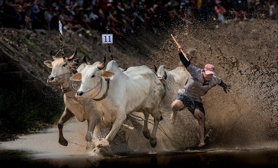 Dấu ấn Việt Nam: Về miền sông nước An Giang-11