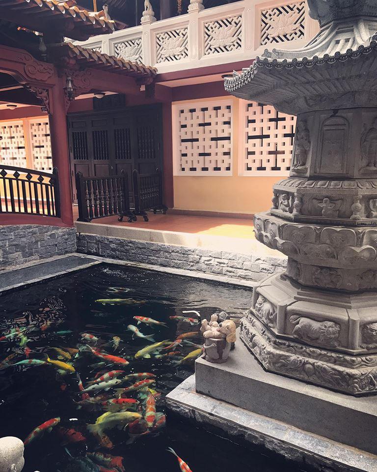 Hot girl - hot boy Việt 23/8: Châu Bùi đốt mắt người nhìn với vẻ đẹp kiêu sa-8