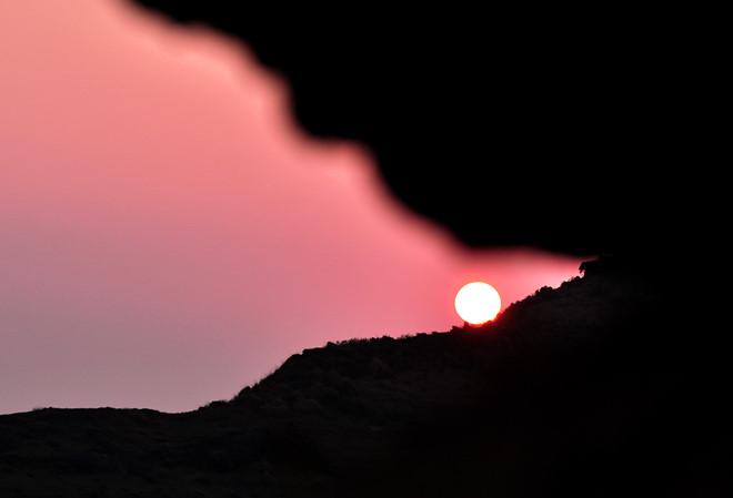 Lý Sơn khuyến khích du khách trồng cây xanh lưu niệm lại đảo-2