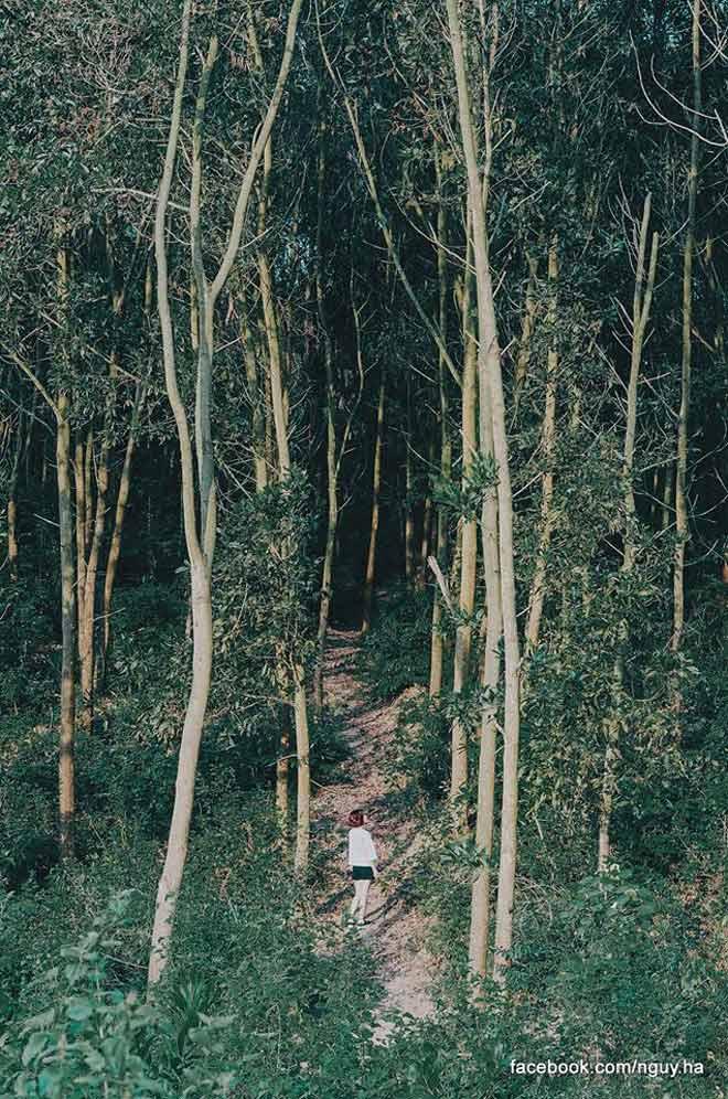 Nghỉ lễ 2/9, đưa nhau đi trốn ở hoang đảo xanh mướt chỉ cách Hà Nội 100km-9