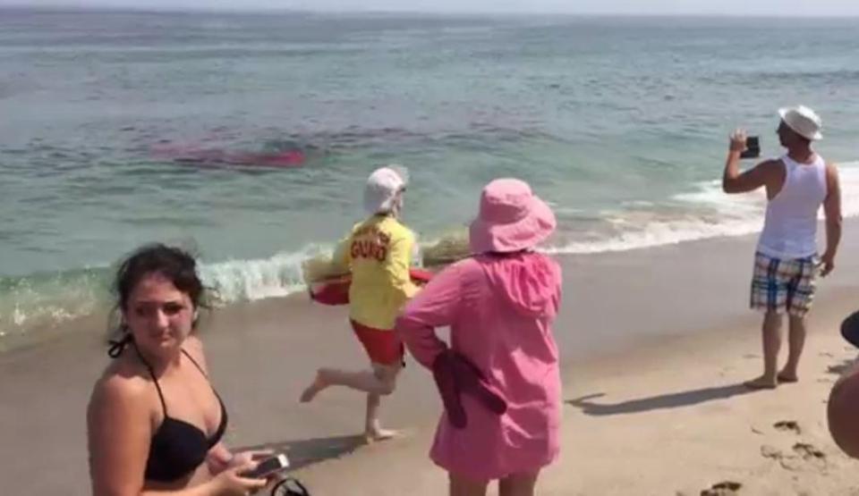 Lời kể hãi hùng của nhân chứng thoát chết khi cá mập trắng tấn công hải cẩu sát bờ biển-2