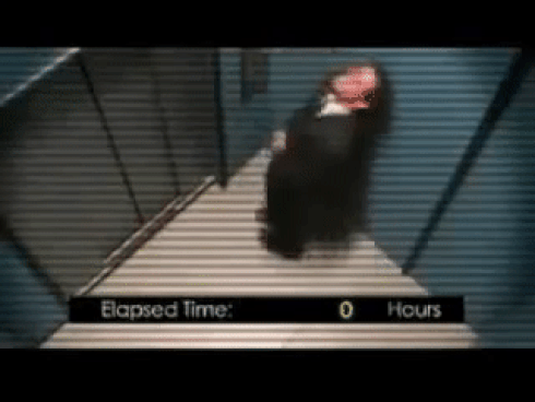 Video: Những sự cố 'bất thình lình' khiến người dân lo ngay ngáy khi đi thang máy