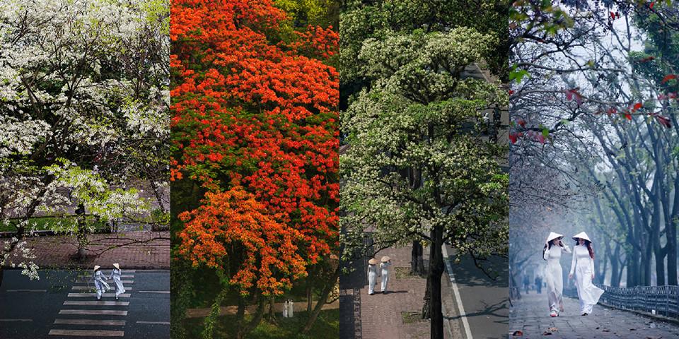 Những góc nhỏ tuyệt đẹp của Hà Nội-1