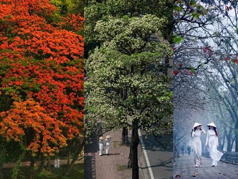 Rủ ngay hội sống ảo check-in đồng muối gương soi vĩ đại nhất thế giới-1