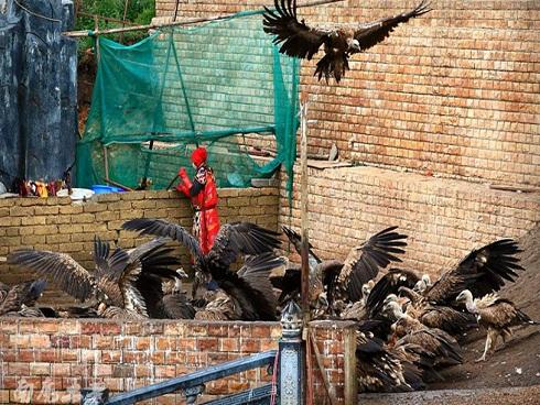 Cô gái Việt thu hết can đảm chứng kiến tục thiên táng của người Tạng