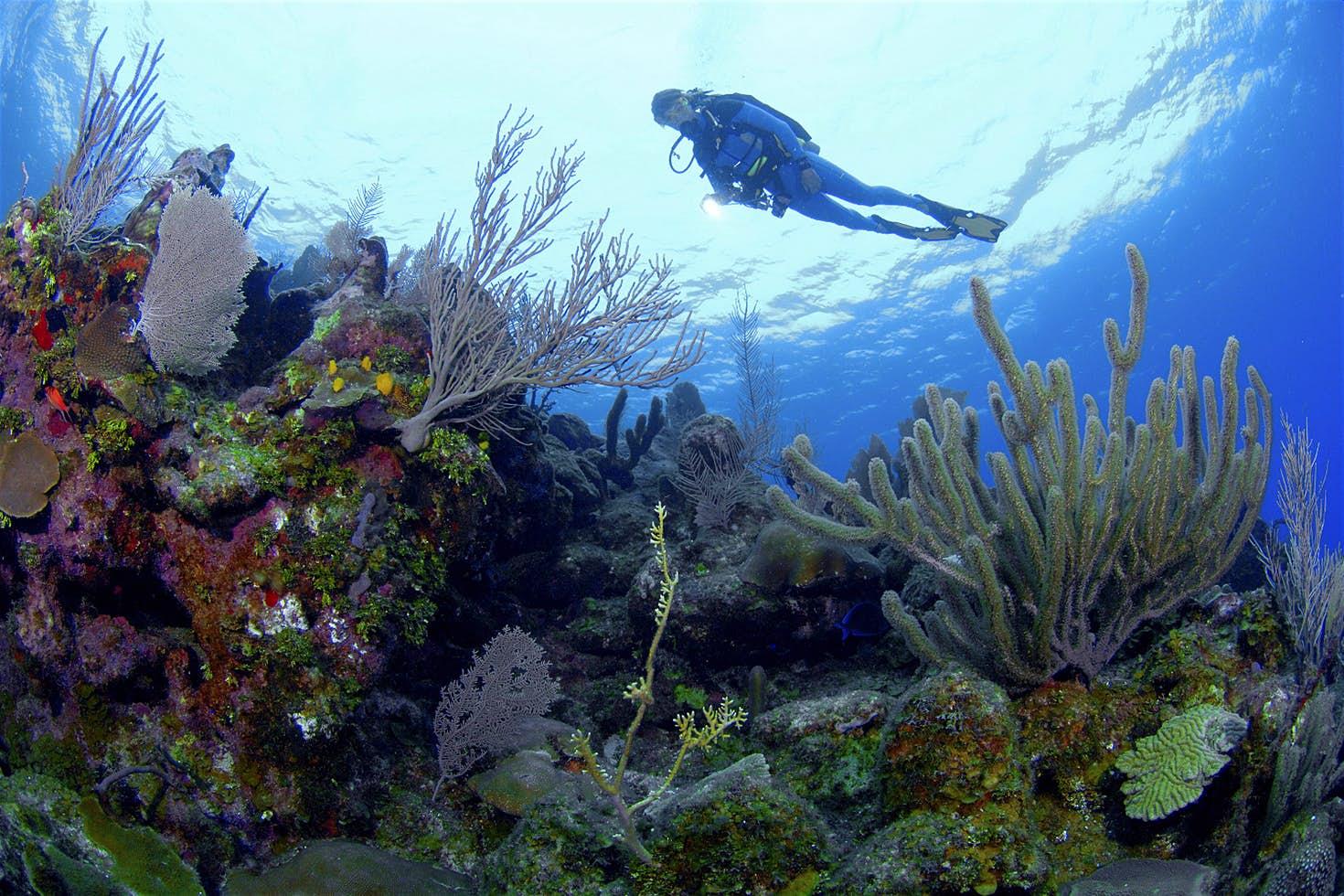 Việt Nam lọt top 10 địa điểm trăng mật rẻ nhất thế giới-6