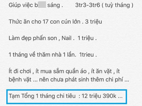 Bảng chi tiêu của cô gái độc thân mỗi tháng hết 12 triệu, riêng tiền thuê osin gần 4 triệu gây tranh cãi