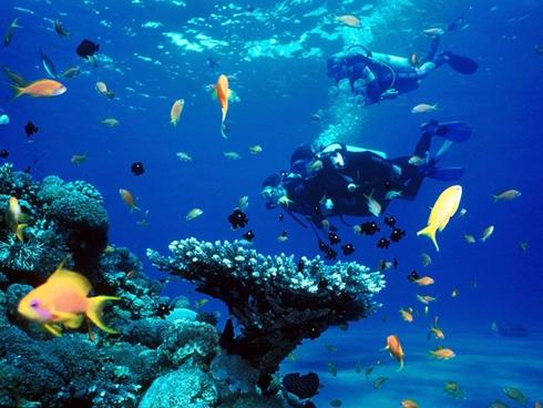 Điểm đến 2/9: Đảo Campuchia giá rẻ đẹp không kém Maldives