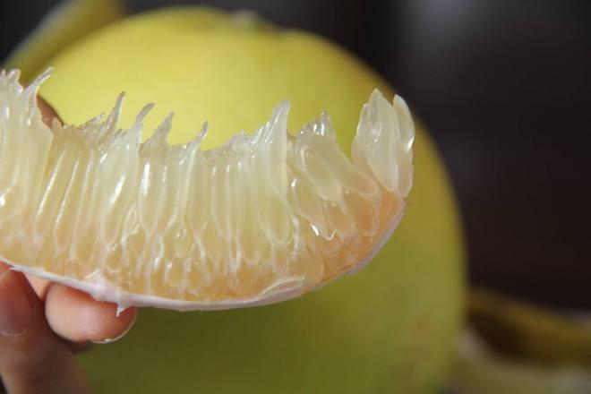 Phát nghiện với những đặc sản ăn mãi không chán ở Hà Tĩnh-4