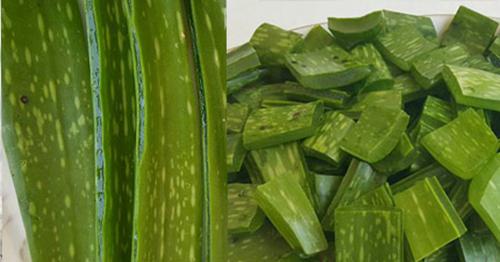 Tự tay làm 2 loại hỗn hợp dưỡng da, chống lão hóa hoàn toàn tự nhiên, an toàn-2