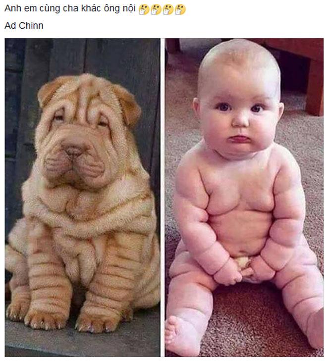 TOP status gây bão mạng tuần qua-6