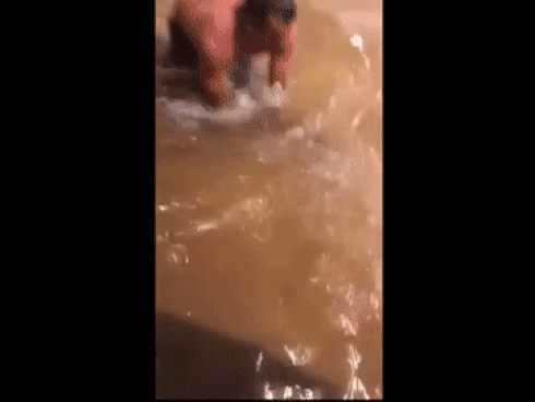 Mỹ: Bức ảnh gây sốc trong bão Harvey-10