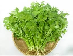 5 cách giúp cơ thể tỏa hương thơm quyến rũ-5