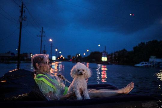Mỹ: Bức ảnh gây sốc trong bão Harvey-2