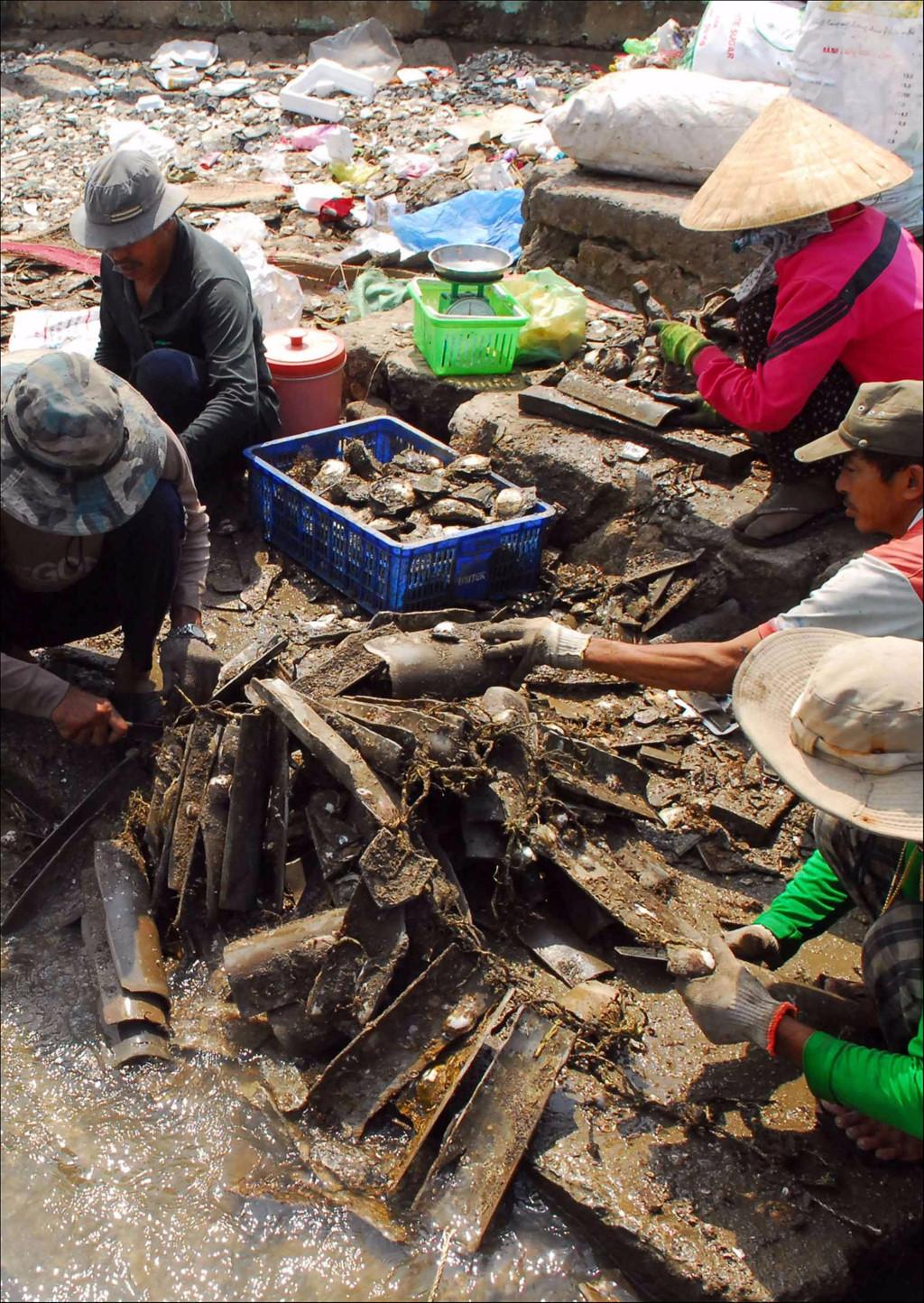 Hòn đảo hoang sơ ngay ngoại thành Sài Gòn-7