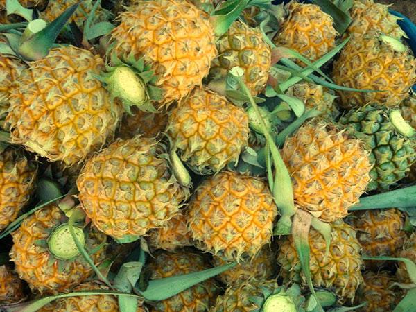 Xuất hiện dứa mini Thái Lan 70 nghìn/kg thơm lừng ngọt lịm xôn xao Sài Gòn-6