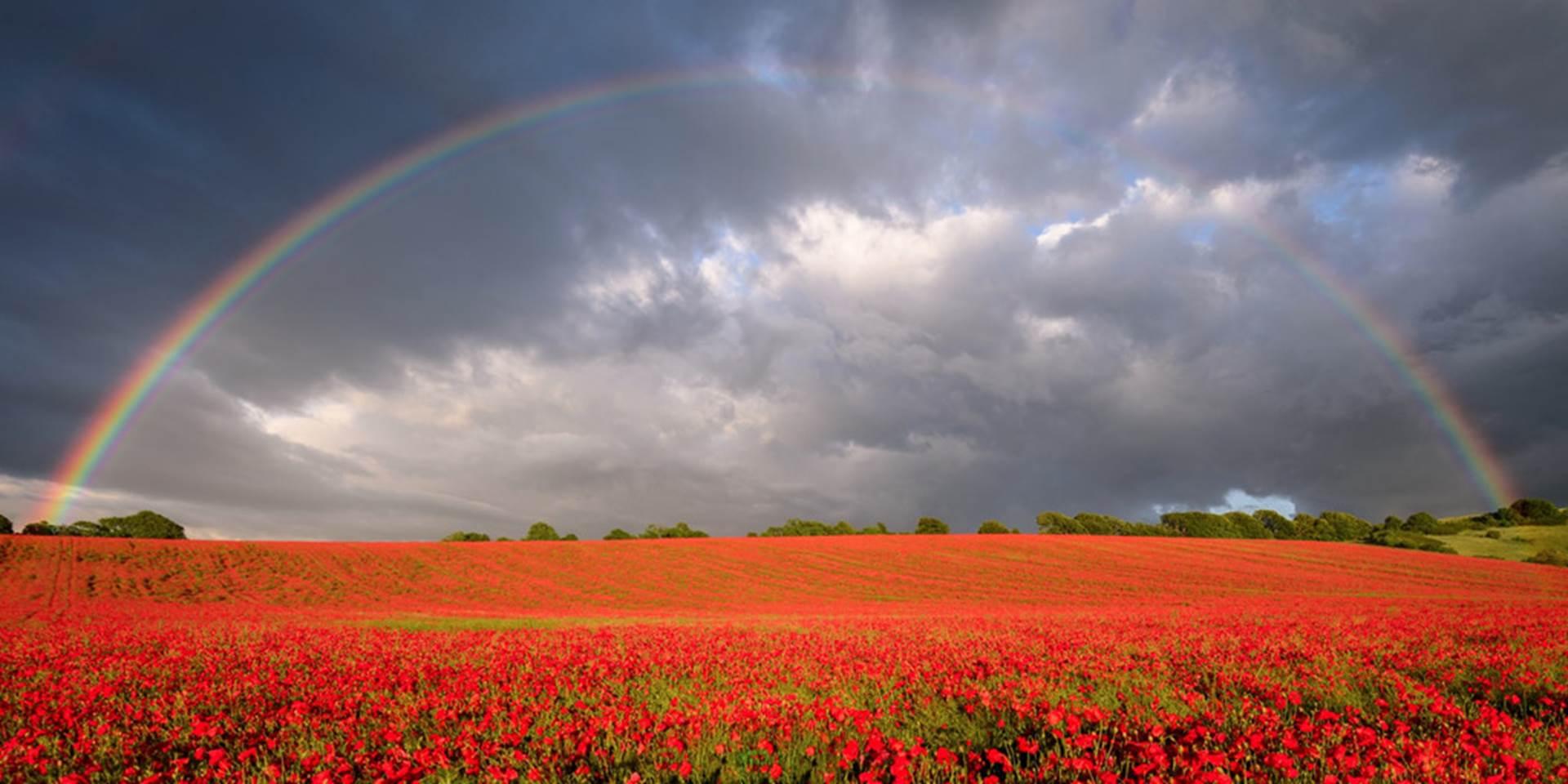 Những địa điểm đẹp lạ lùng trong sương mù, lốc xoáy-8