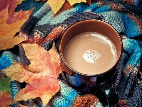 Đoán vui vận mệnh của những cô gái mặt tròn-4