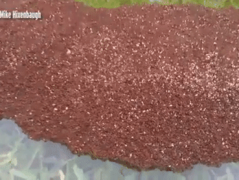 Bí ẩn vật thể lạ trôi nổi xuất hiện trong bão Harvey ở Mỹ-2