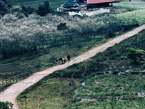 Những địa điểm đẹp bị bỏ hoang trên thế giới-5