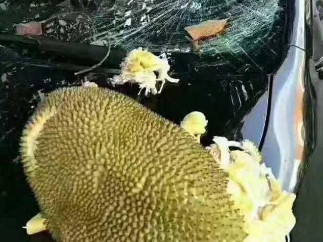 Clip: Tháng cô hồn, chớ mời thầy bùa bắt cương thi-1