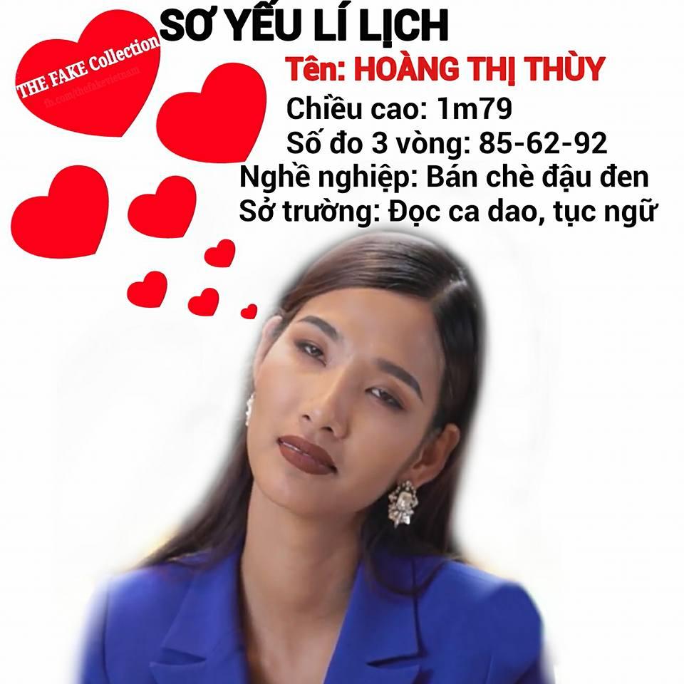 Ảnh chế Hoàng Thùy thi Hoa hậu Hoàn vũ Việt Nam mặc váy hoa dâm bụt và ứng xử bằng ca dao-4