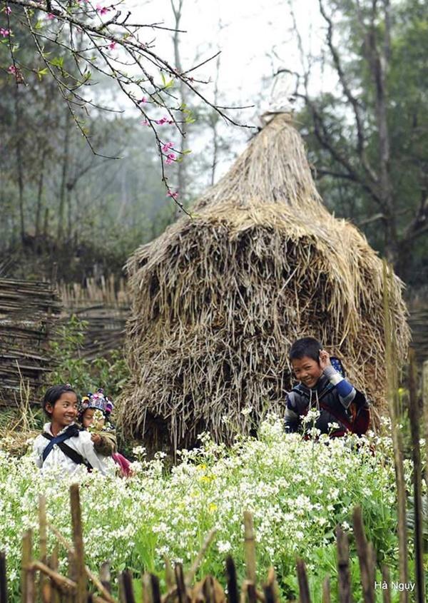 Y Tý gợi tình mùa lúa sóng sánh ánh vàng-2