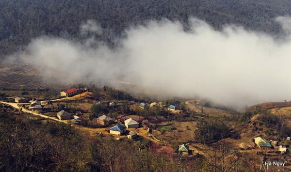 Y Tý gợi tình mùa lúa sóng sánh ánh vàng-5