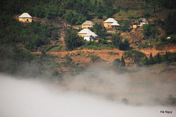 Y Tý gợi tình mùa lúa sóng sánh ánh vàng-13