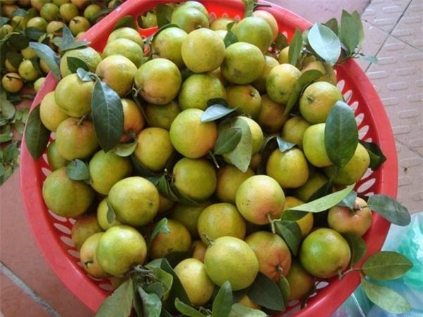 Giảm một mạch 20kg nhờ dùng chanh ngâm thứ này trong 2 tuần-1