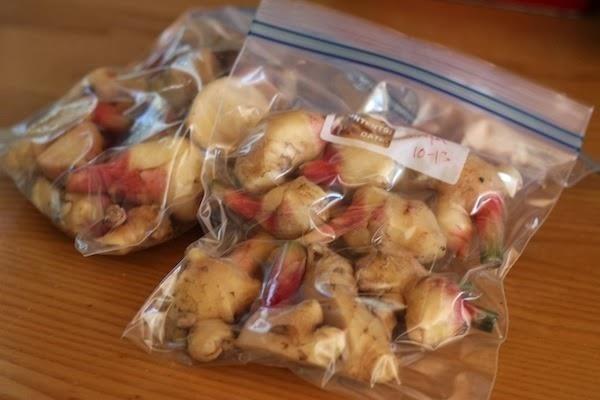 Lột vỏ gừng chưa bao giờ dễ đến thế khi bạn để gừng vào đây 2 giờ trước khi ra tay-1