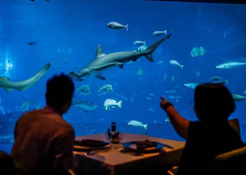 Mắt chữ A, mồm chữ O trước những nhà hàng kỳ dị nhất châu Á-3