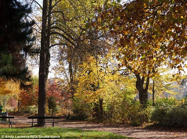 Công viên khỏa thân đầu tiên ở Paris có gì thú vị?-1