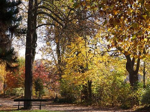 5 cây cầu vượt biển dài nhất thế giới-1