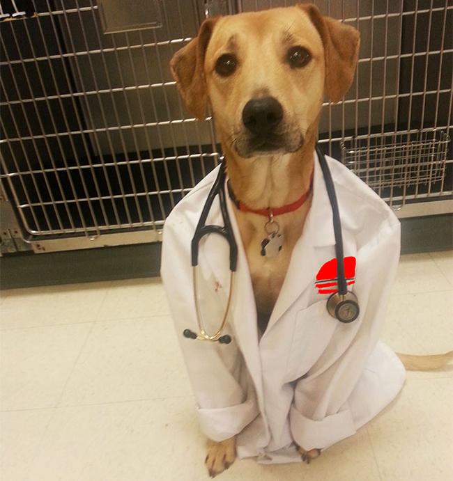 Sáng tạo vô đối của những kẻ rảnh rỗi sinh nông nỗi-13