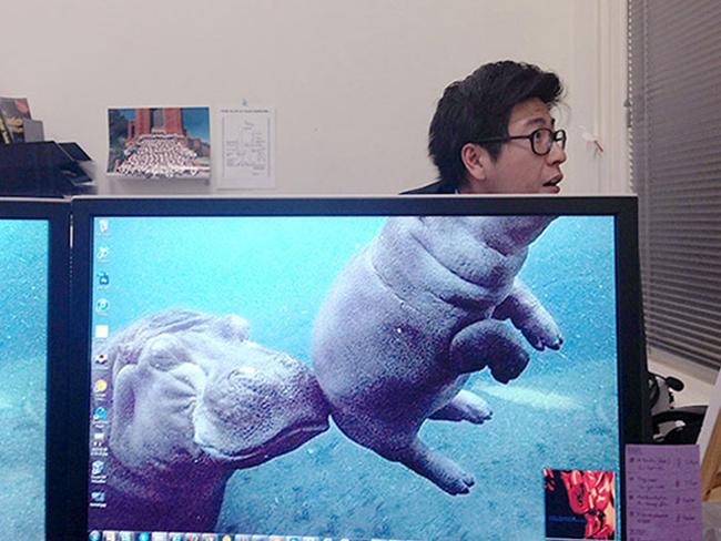 Sáng tạo vô đối của những kẻ rảnh rỗi sinh nông nỗi-15